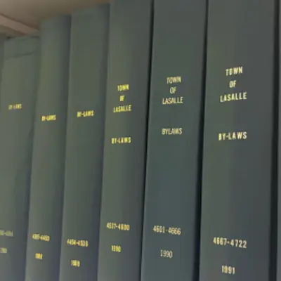 Photo of Bylaws book