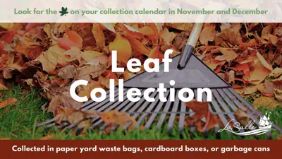 leaf collection dates