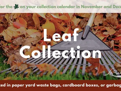 leaf collection dates