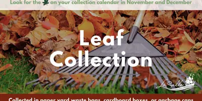 leaf collection dates
