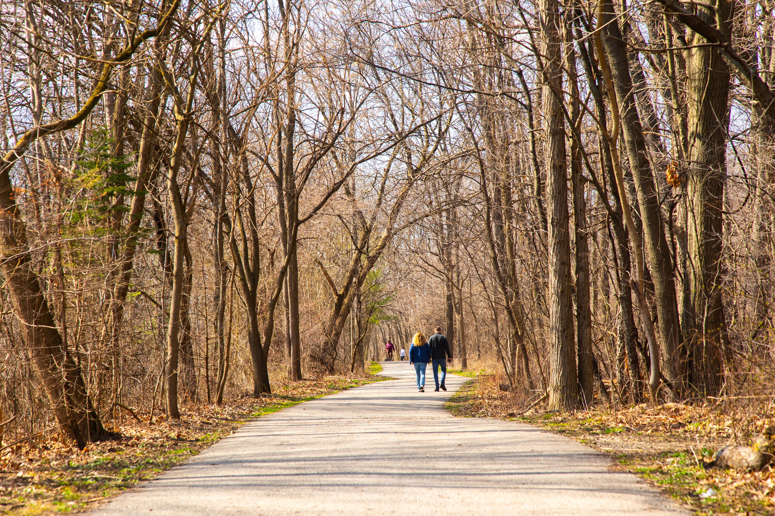 Brunet Park in the spring with pedestrians walking