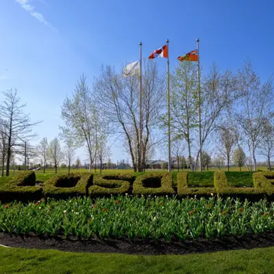 LaSalle Landscape