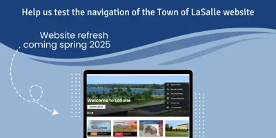 website navigation study